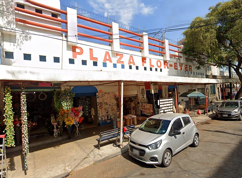 la-plaza-quienes-somos-PlazaFlorever-2025